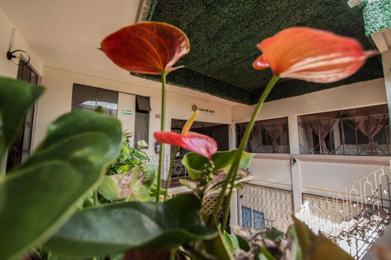 Casa De Juan Hostal Ксалапа Екстериор снимка